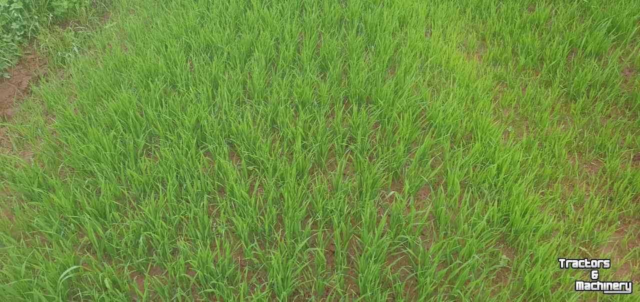Overseeder SMS Smart 300