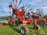 Rake Lely Hibiscus 855 CD