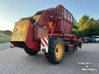 Sugar beet harvester Tim MIIIS- TEA Bietenrooier 3 rijen