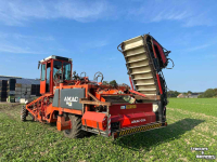 Onion harvester Amac ZM2 raper/lader plantuien