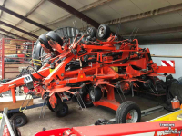 Tedder Kuhn GF 13002