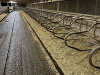 Straw spreader for boxes  HJS Roterende Diep Strooisel Box Krabber/Vlakker