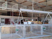 Partition Fences  Kraamhokken voor schapen