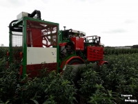 Rootball Lifter Ezendam Globus ASTM automatische Steekmachine