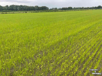 Seed drill  SEED2DISC zaaimachine