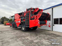 Potato harvester Dewulf RF 3060