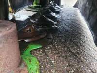 Mower Krone Easy Cut 32