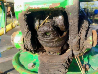 Tedder Deutz-Fahr 5000