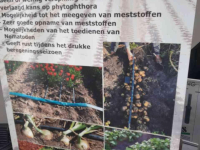 Other irrigation equipment and accessories  drip irrigatie
