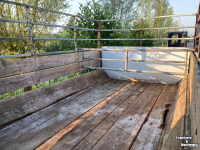 Livestock trailer  Gebruikte veekar