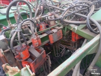 Carrot harvester Ploeger witlofooier