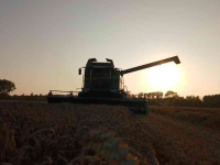 Combine Fendt 6335C