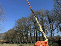 Articulated platforms JLG JLG 460SJ Hoogwerker